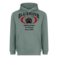 Sage Blackwater Heavyweight Hoodie - PixelFlow