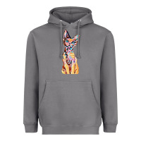 Storm Colorful Cat Heavyweight Hoodie - PixelFlow