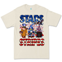 Stars And Stripes Gnomes 4th Of July Premium Tee | Teevron