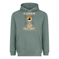 Sage assuming i'm just an old lady was your first mistake witch Heavyweight Hoodie - SnappyArt