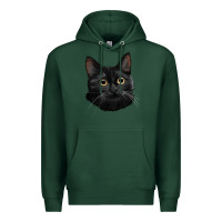 Sports Green Bombay Cat Face Premium Hoodie - LillyAllenDesigns