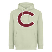 Matcha colgate vintage Heavyweight Hoodie - SnappyArt