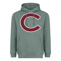 Sage colgate vintage Heavyweight Hoodie - SnappyArt