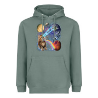 Sage Fluffy Kitten Shoot Laser Rainbow Space Galaxy, Cat Gifts Heavyweight Hoodie - SnappyArt