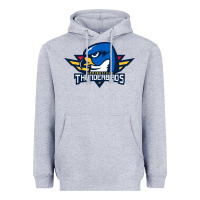 Heather Grey springfield thunderbirds Heavyweight Hoodie - ArtMosaic