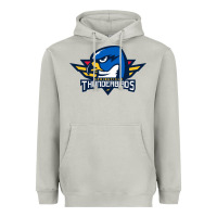 Moon Dust springfield thunderbirds Heavyweight Hoodie - ArtMosaic