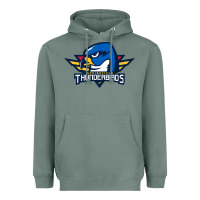 Sage springfield thunderbirds Heavyweight Hoodie - ArtMosaic