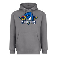Storm springfield thunderbirds Heavyweight Hoodie - ArtMosaic