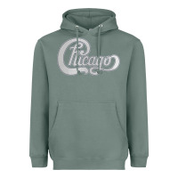 Sage Chicago Transit Authority Heavyweight Hoodie - ArtMosaic