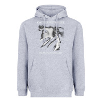 Heather Grey Catherine wheel, Catherine wheel art, Catherine wheel vintage, Catheri Heavyweight Hoodie - ArtMosaic