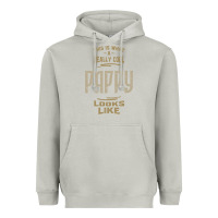 Moon Dust Really Cool Pappy Heavyweight Hoodie - artisFamous