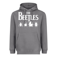 Storm beetles Heavyweight Hoodie - artisFamous