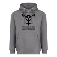 This Is The Age Of Sin   Transgender Symbol Heavyweight Hoodie | Teevron