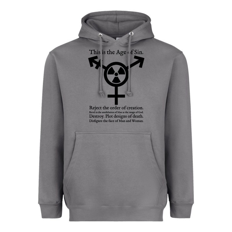 This Is The Age Of Sin   Transgender Symbol Heavyweight Hoodie by artisFamous | Teevron