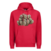 Cardinal brown flowered cactus Premium Hoodie - LillyAllenDesigns