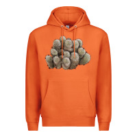 Carrot brown flowered cactus Premium Hoodie - LillyAllenDesigns