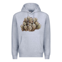 Heather Grey brown flowered cactus Premium Hoodie - LillyAllenDesigns