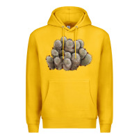 Lemon brown flowered cactus Premium Hoodie - LillyAllenDesigns