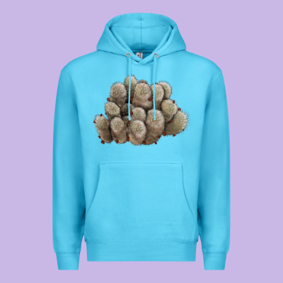 Brown Flowered Cactus Premium Hoodie Designed By Lillyallendesigns