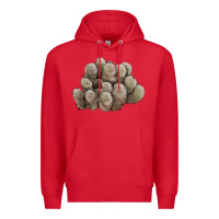 Red brown flowered cactus Premium Hoodie - LillyAllenDesigns