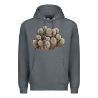 Rock brown flowered cactus Premium Hoodie - LillyAllenDesigns