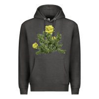 Charcoal Heather whipple cholla cactus Premium Hoodie - LillyAllenDesigns