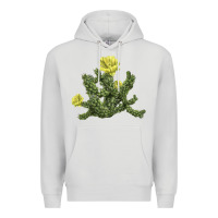 Dove Grey whipple cholla cactus Premium Hoodie - LillyAllenDesigns
