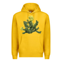 Lemon whipple cholla cactus Premium Hoodie - LillyAllenDesigns