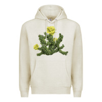 Oatmeal Heather whipple cholla cactus Premium Hoodie - LillyAllenDesigns