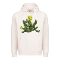 Pale Pink whipple cholla cactus Premium Hoodie - LillyAllenDesigns