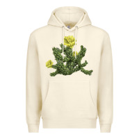 Sandshell whipple cholla cactus Premium Hoodie - LillyAllenDesigns