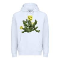 White whipple cholla cactus Premium Hoodie - LillyAllenDesigns