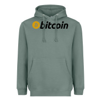 Sage vintage look bitcoin Heavyweight Hoodie - artisFamous