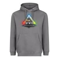 Storm ARK SURVIVAL EVOLVED GAME PLAY Heavyweight Hoodie - artisFamous