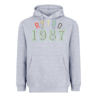 Heather Grey Retro 1987 Heavyweight Hoodie - artisFamous