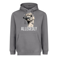 Storm letterkenny allegedly ostrich funny Heavyweight Hoodie - artisFamous