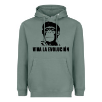 Sage viva la evolucion Heavyweight Hoodie - artisFamous
