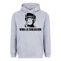 Heather Grey viva la evolucion Heavyweight Hoodie - artisFamous