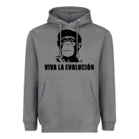 Storm viva la evolucion Heavyweight Hoodie - artisFamous