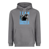 Storm go.dzil.la vs k.o.n.g   official team go.dzi.lla ne.on gift t shirt Heavyweight Hoodie - artisFamous