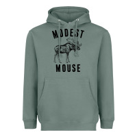 Sage modest mouse Heavyweight Hoodie - artisFamous