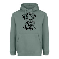 Skull I Like It Heovy Halestorm Heavyweight Hoodie | Teevron