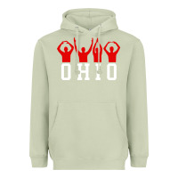 Matcha vintage state of ohio home pride Heavyweight Hoodie - artisFamous