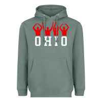 Sage vintage state of ohio home pride Heavyweight Hoodie - artisFamous