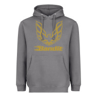 Storm bandit Heavyweight Hoodie - artisFamous