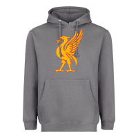 Storm liverpool bird license plate Heavyweight Hoodie - artisFamous
