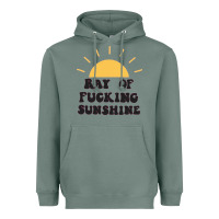 Sage ray of sunshine Heavyweight Hoodie - artisFamous