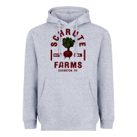 Heather Grey the office schrute farms premium Heavyweight Hoodie - artisFamous