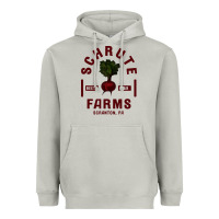 Moon Dust the office schrute farms premium Heavyweight Hoodie - artisFamous