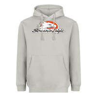 Moon Dust the screamin eagle Heavyweight Hoodie - artisFamous